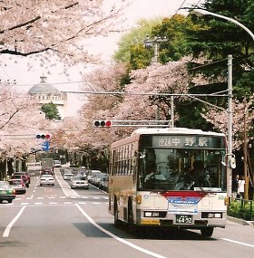しづ心なく_e0030537_1255273.jpg