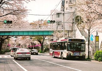 しづ心なく_e0030537_126685.jpg