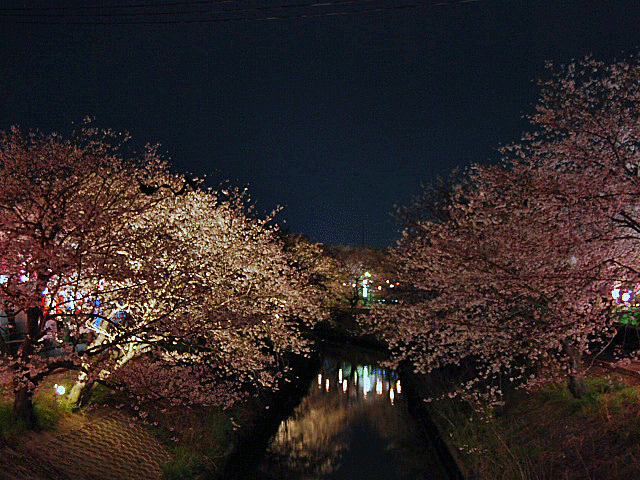 c0136838_0503343.gif