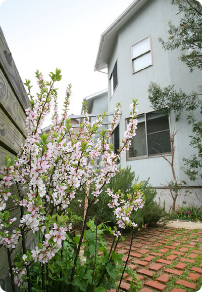 f0118538_0595977.jpg