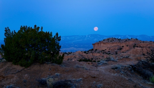 e0104941_22516.jpg
