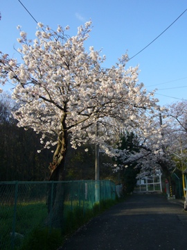 e0100046_19365747.jpg