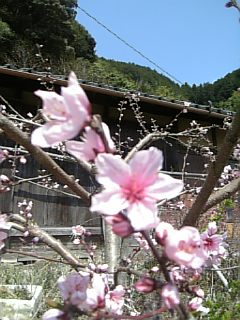 f0099147_20423195.jpg