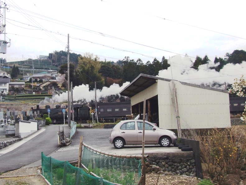 大仙山の枝垂桜_a0103948_22574663.jpg