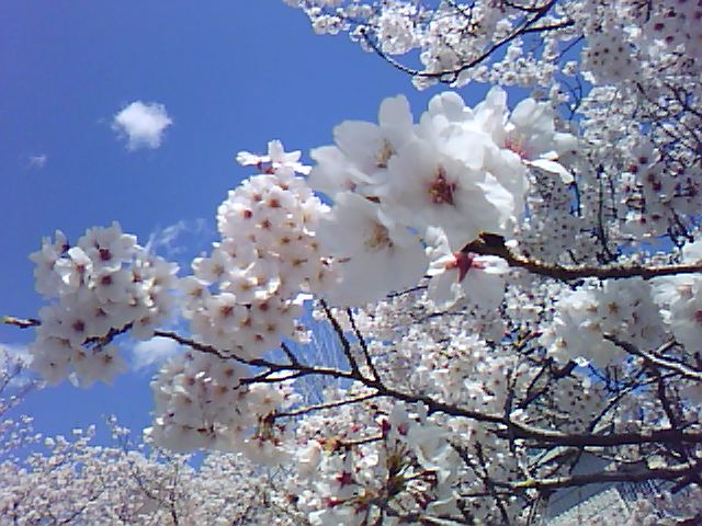 e0130657_22361689.jpg