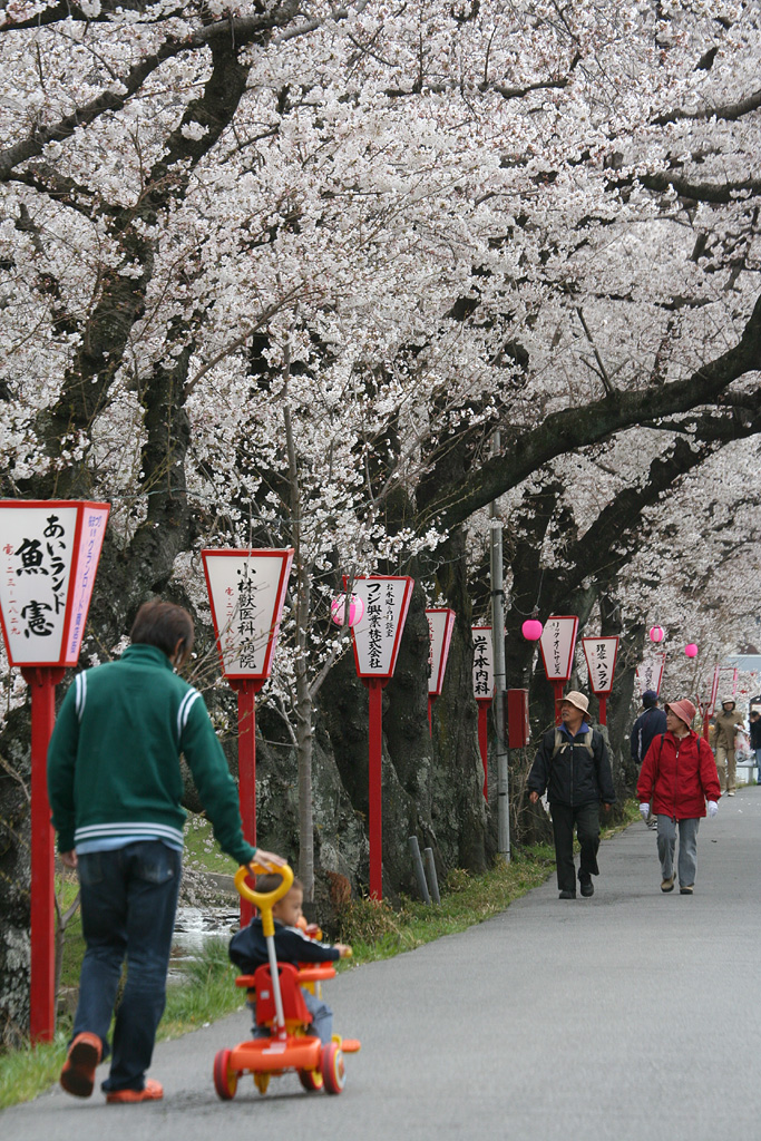 桜祭り　その3_d0148060_19163822.jpg