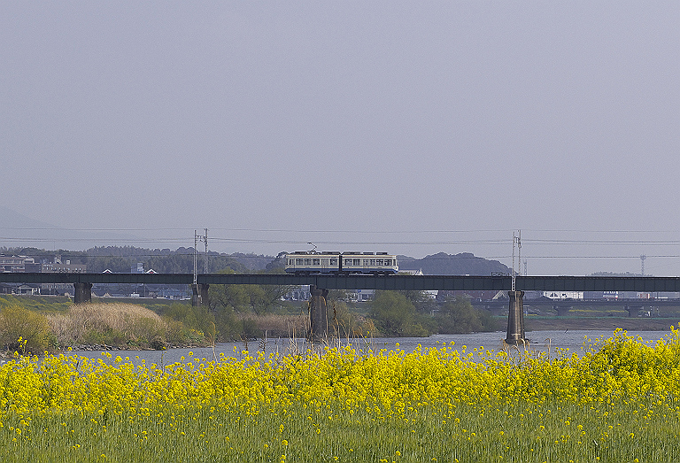 平成筑豊電鉄と菜の花撮影会_a0080662_13565118.jpg