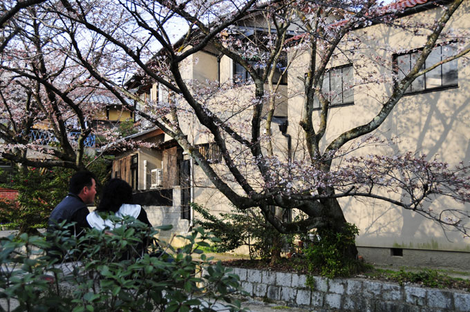 春は曙、卯月になった。京都の桜をアップ✿ฺ´☆`✿ฺ　_a0031363_11313478.jpg