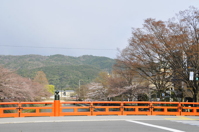 春は曙、卯月になった。京都の桜をアップ✿ฺ´☆`✿ฺ　_a0031363_11462347.jpg