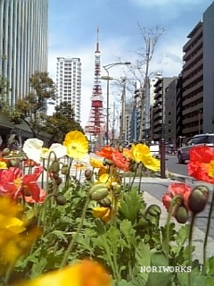 c0082166_011066.jpg