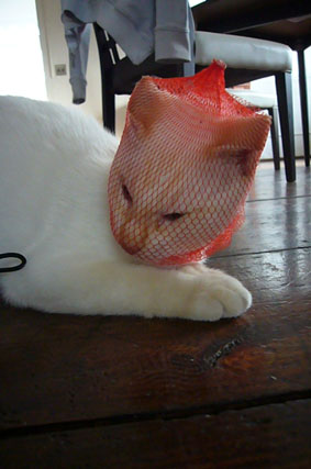 curry & bread._c0153966_2133519.jpg