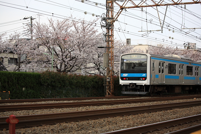 a0058669_15149.jpg