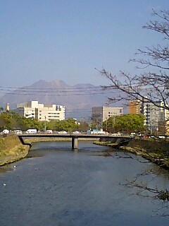 桜の季節はまだか_d0013780_20304911.jpg