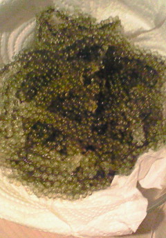d0140594_18395876.jpg