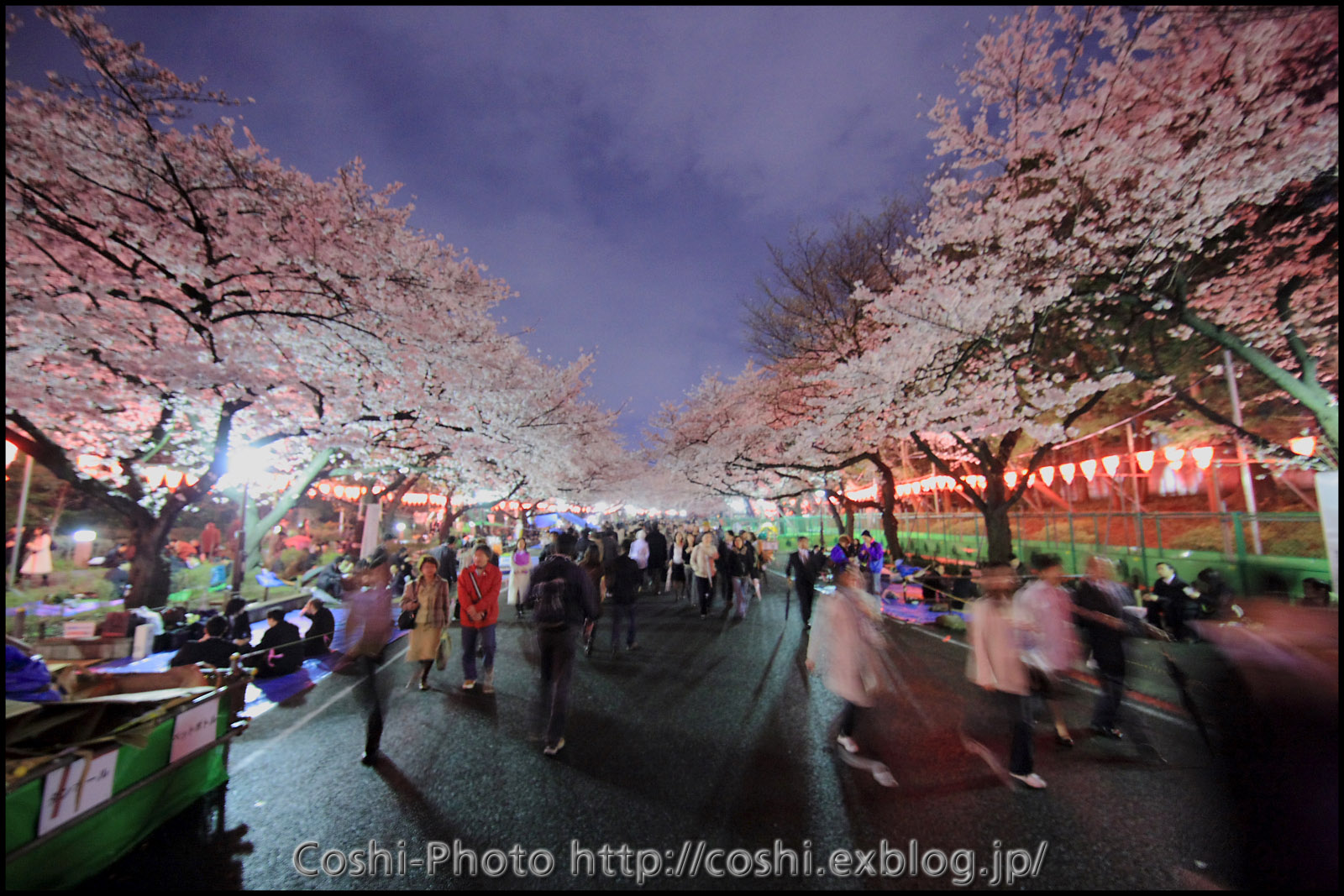 上野公園の夜桜・・・前編_a0110096_1692963.jpg