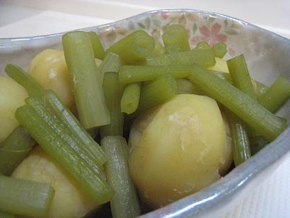 野菜の日_c0119197_8453650.jpg