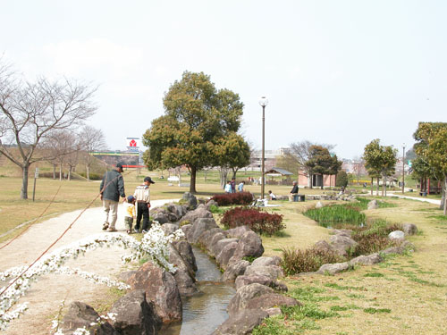 七瀬公園も桜が咲きました_b0014607_21213572.jpg