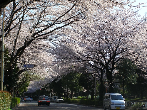 b0067012_18574125.jpg