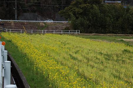 静岡旅行３日目　「また会う日まで！」_e0090719_23151821.jpg