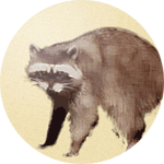 e0112226_11573842.gif