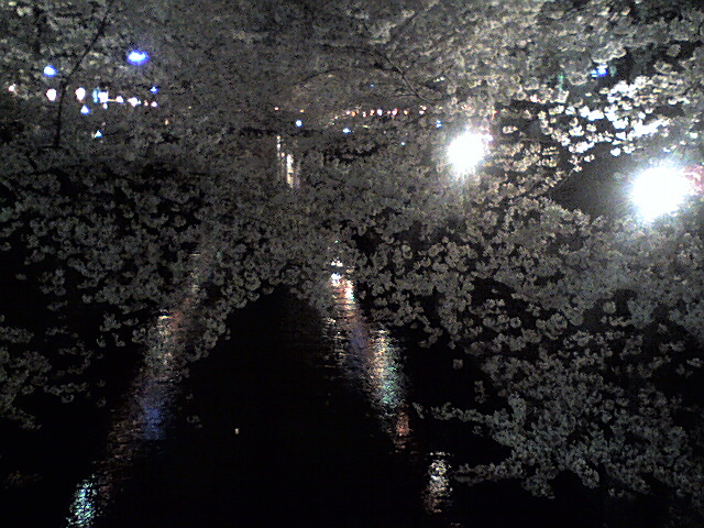 c0039428_2052482.jpg