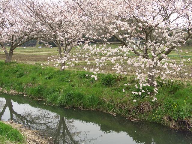 b0063737_2272297.jpg