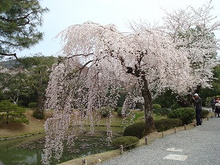 c0153740_2118470.jpg