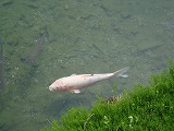 c0153740_21231670.jpg