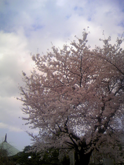 d0074945_01999.jpg