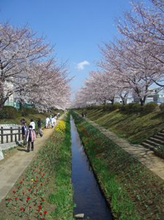 f0080745_056993.jpg