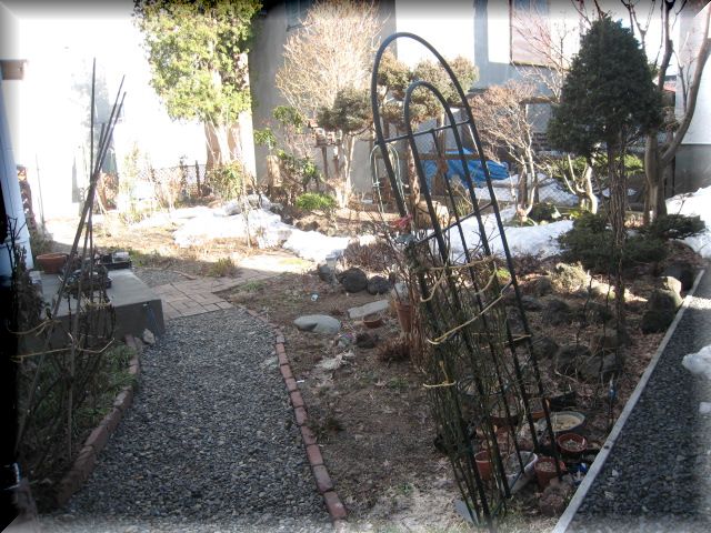 f0153450_20584.jpg