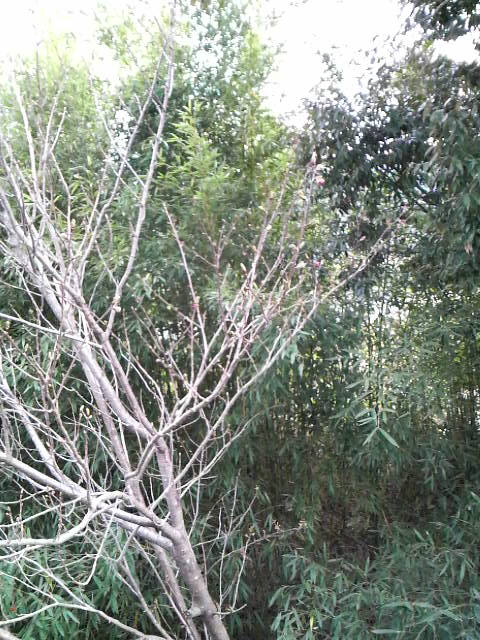 c0147261_22232526.jpg
