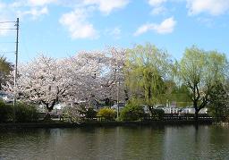 f0139963_604629.jpg