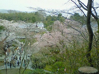 a0073065_14285724.jpg