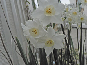 f0086169_22245879.jpg
