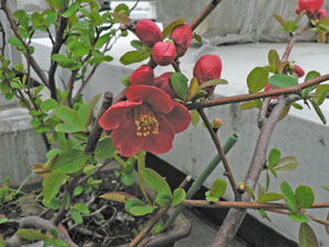 f0086169_2228219.jpg