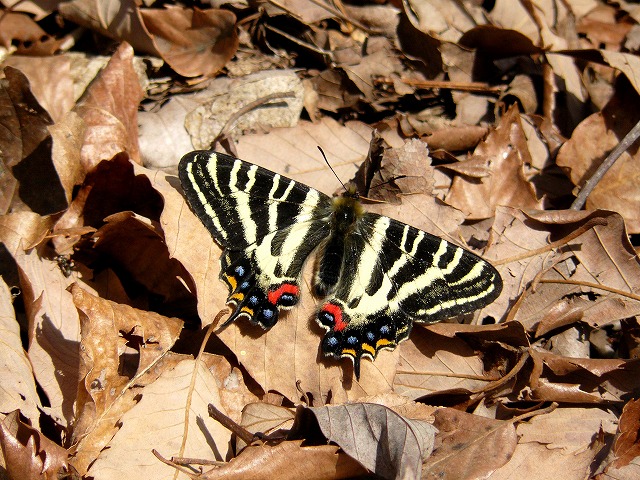 d0019074_18545547.jpg