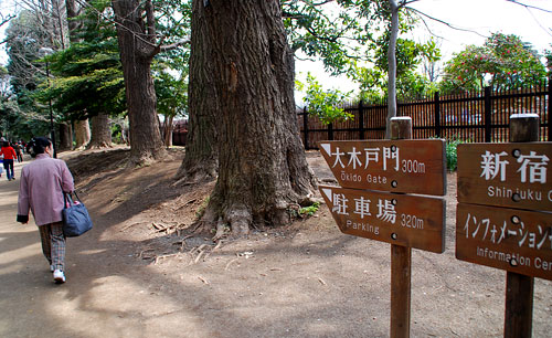 「桜風景」新宿御苑・大木戸門から_c0009981_4482922.jpg