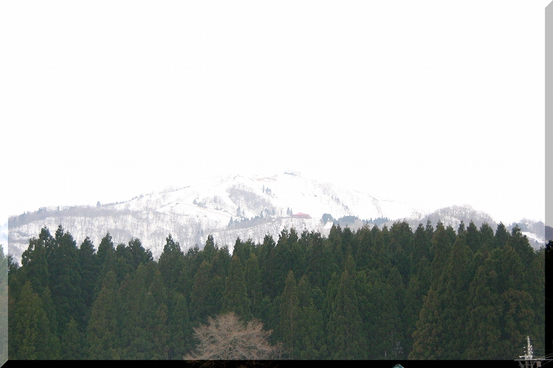 e0024081_2034543.jpg