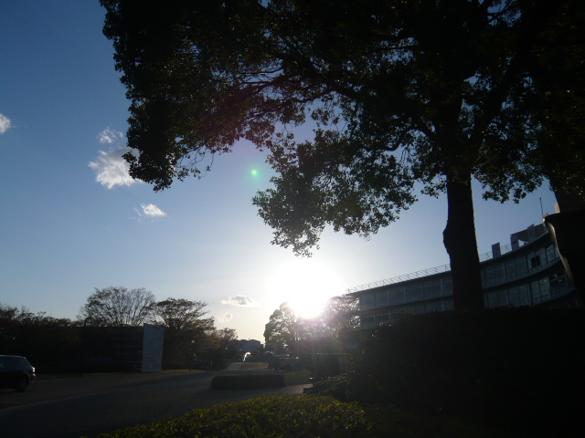 f0123983_164089.jpg