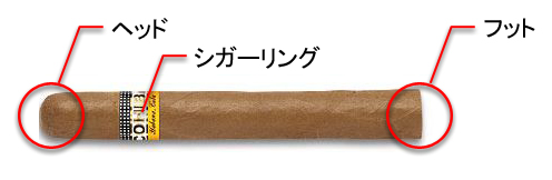 シガー用語 葉巻の構造 部分の名称 紫煙のある時間 Cubancigar Jp シガー用語 葉巻の構造 部分の名称 紫煙のある時間 Cubancigar Jp