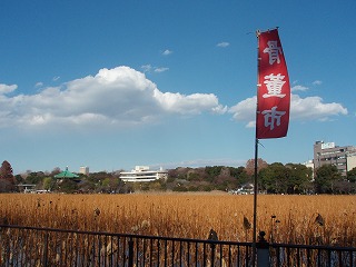 不忍池 ～うえの牡丹まつり2008 骨董市編_c0105785_9252568.jpg