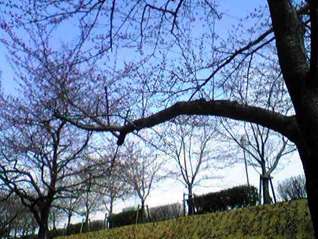 e0142585_822993.jpg