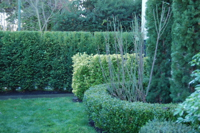 d0129786_4455652.jpg