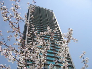 2008春_e0042386_15273592.jpg