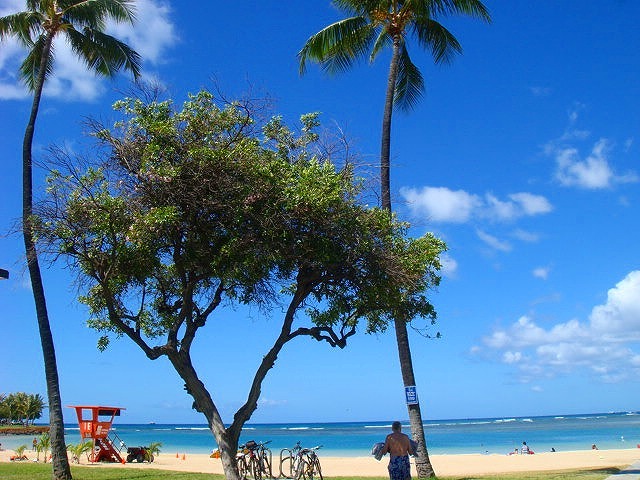 愛が溢れる公園　「ＡＬＡＭＯＡＮＡ　ＢＥＡＣＨ　ＰＡＲＫ」！_d0087496_21534399.jpg