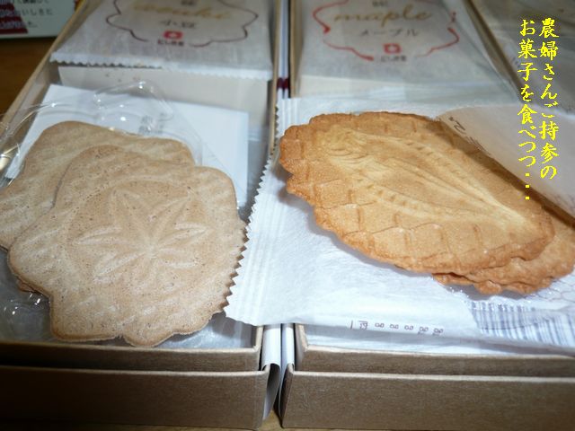 e0094407_2111569.jpg