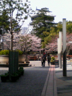 e0132011_1739404.jpg