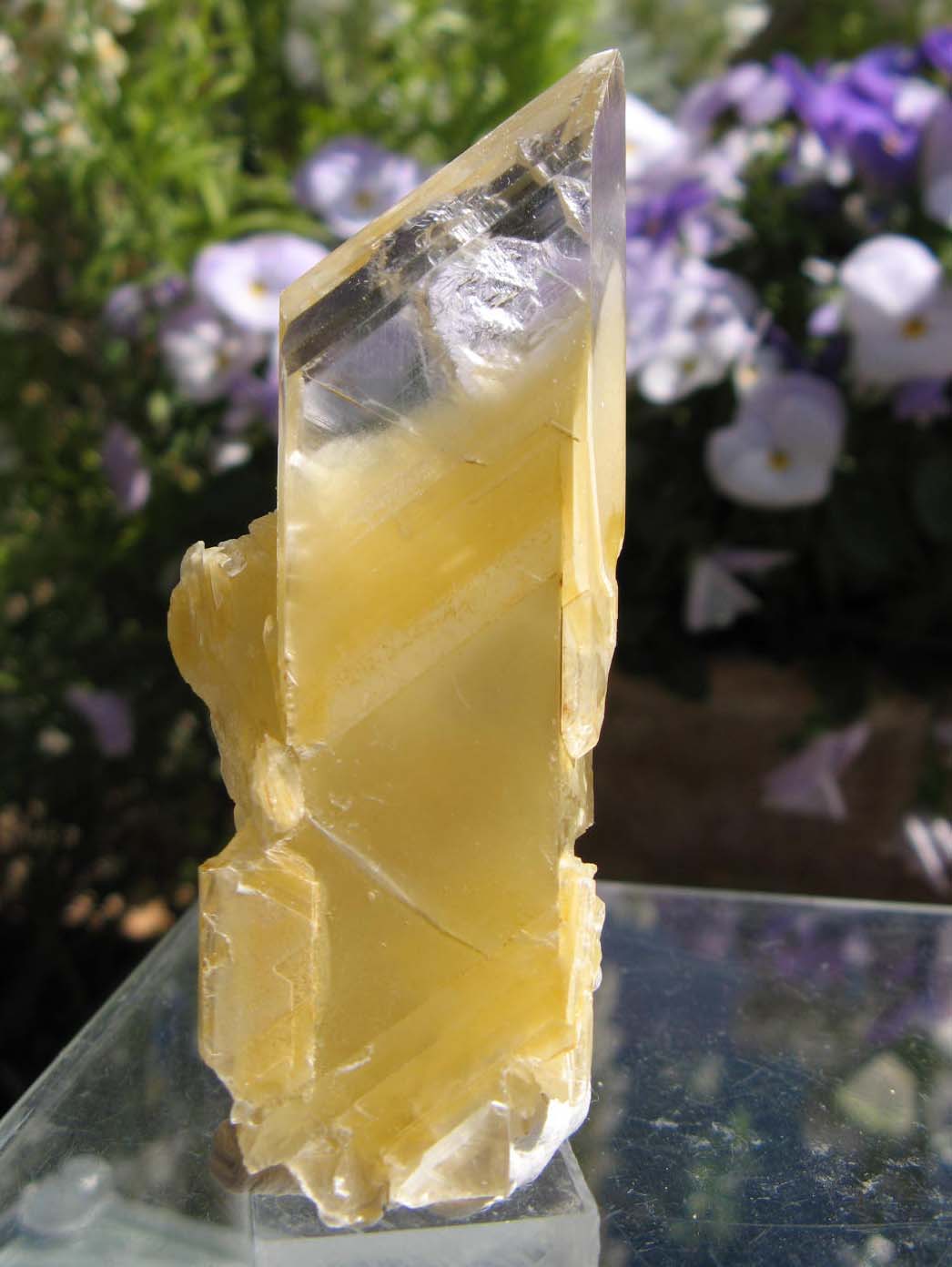 e0139012_2120113.jpg