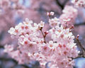 f0062414_23171698.jpg